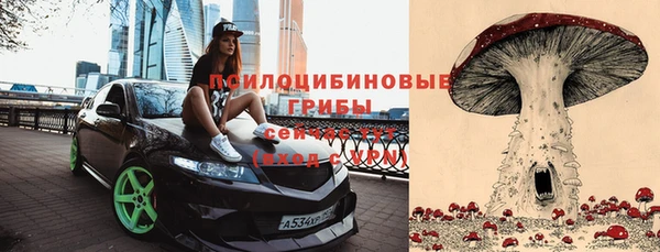 прущая мука Бугульма